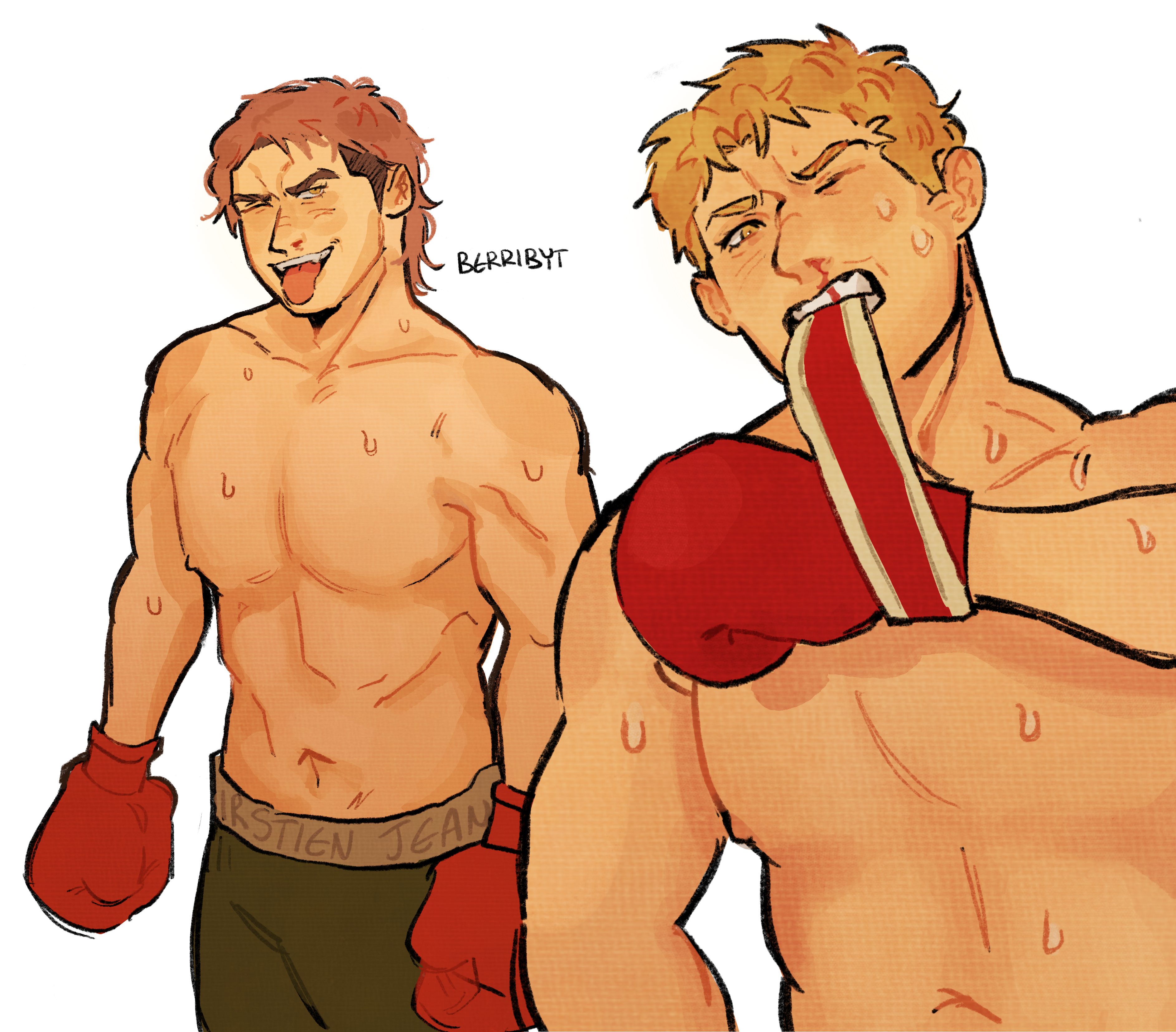 reiner boxing